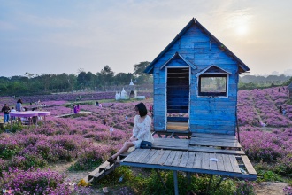 Giới trẻ đổ về vườn hoa ở Hà Nội chụp ảnh đầu năm